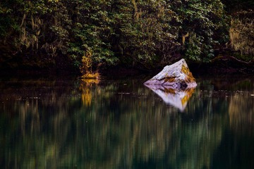 _DSC0782