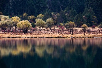 _DSC0784