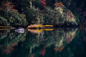 _DSC0785