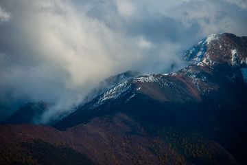_DSC0810