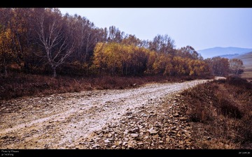DSC01248_02