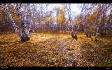 DSC01250_02