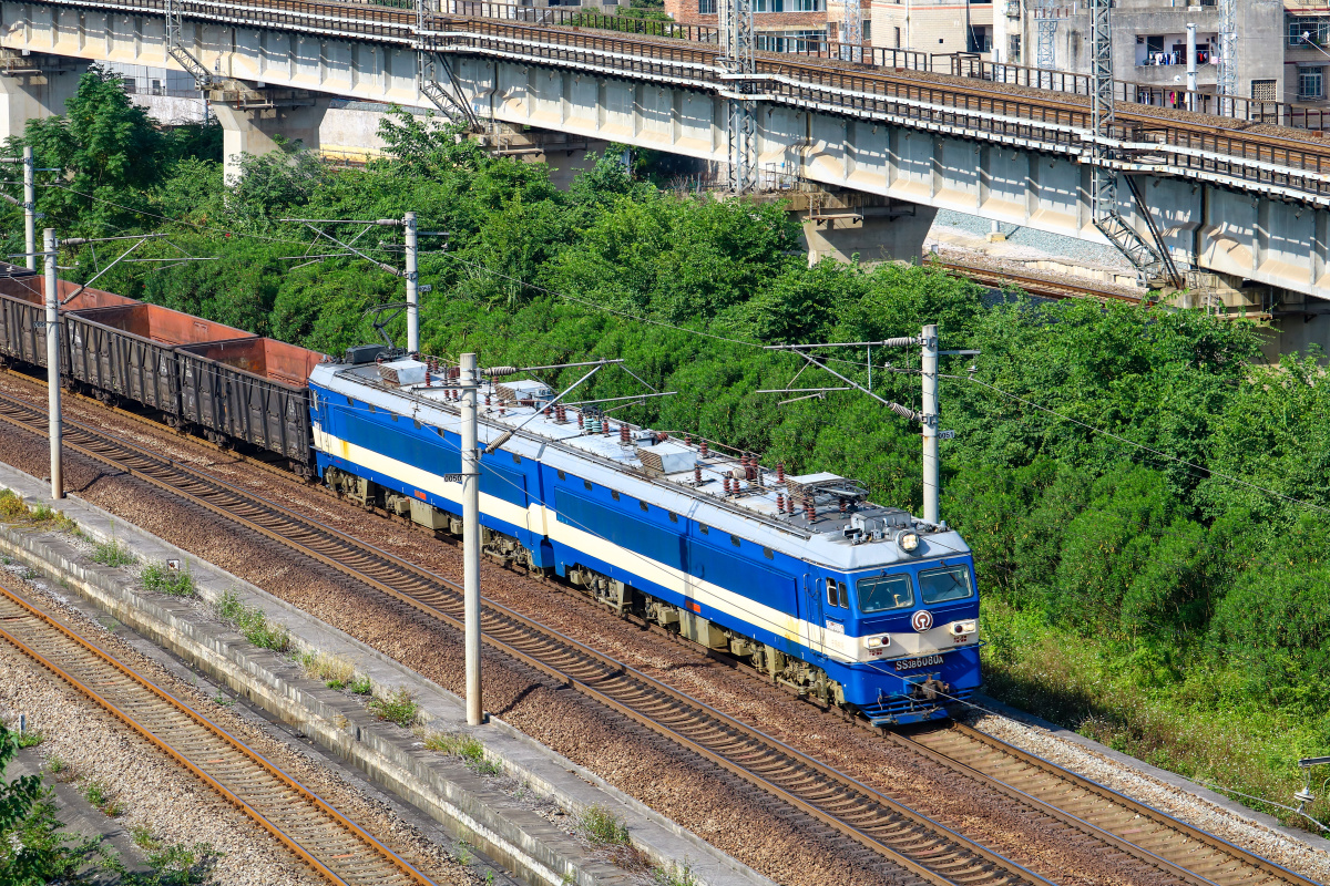 韶山3b牵引大列驶来 - 和谐电3c-0869 - 图虫