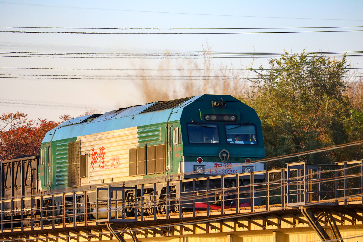 夕阳下的和谐n3