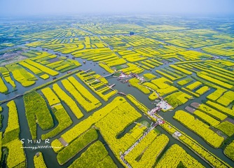 DJI_0022_