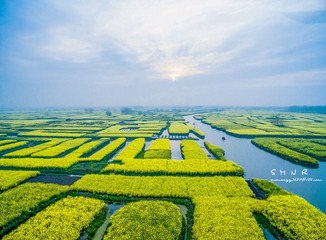 DJI_0009_