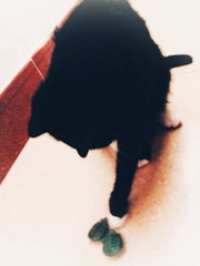 2012507