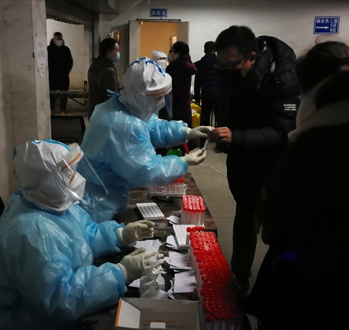 全城核酸检测 - 知青老黄184 - 图虫