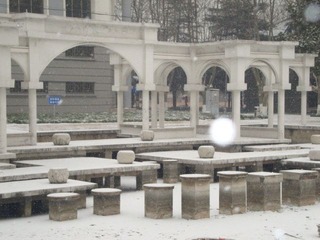 扬州 雪 14