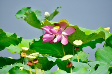 001