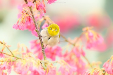 001