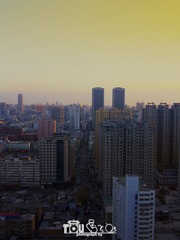 IMG_1847_2Xs