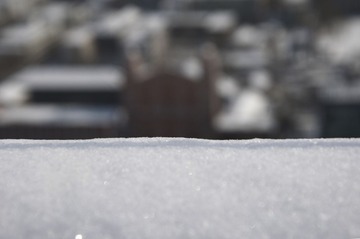 DSC_0228 2