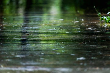 雨后环境实验室前