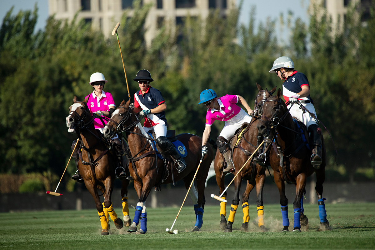 2022辽宁马术比赛时间,辽宁对广东比赛时间2022