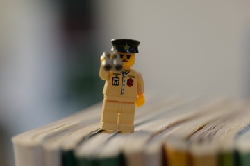 3029373