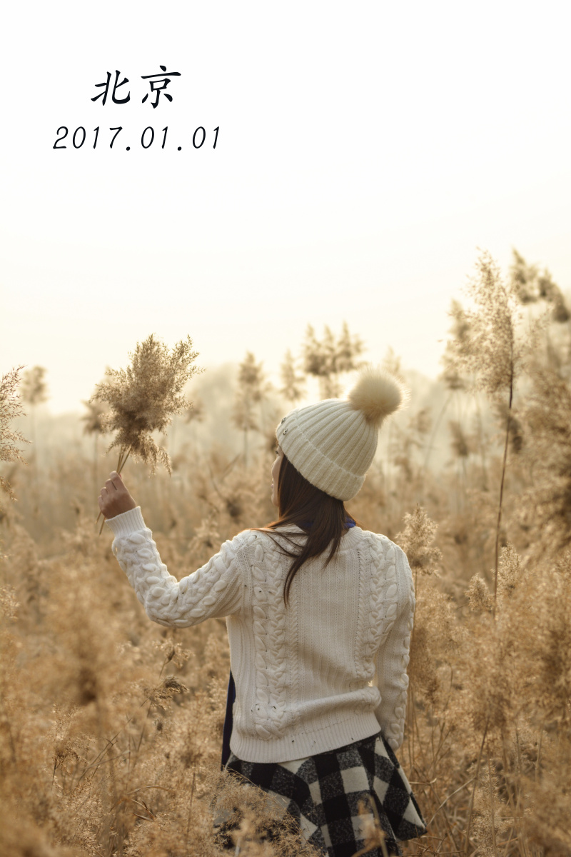 芦苇中美女