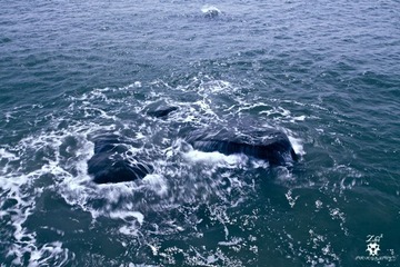厦门-鼓浪屿-水纹