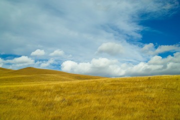 SDIM0989