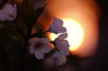 6390CA1D-F414-409E-9FD1-BDEF25C9EC30/L0/001