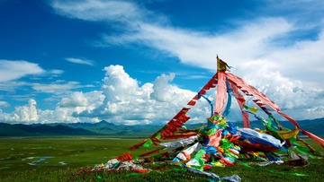 GAO_6695_01