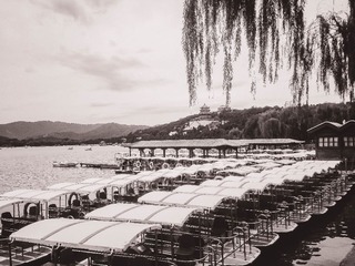 IMG_5794-2