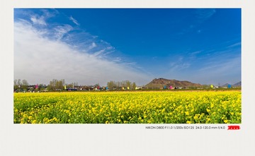 DSC_1511_DxO__