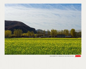 DSC_1705_DxO_