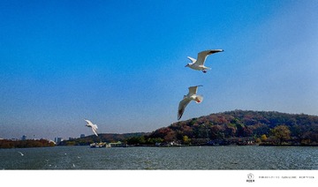 IMGP5174_DxO__