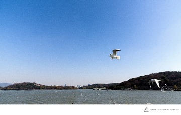 IMGP5177_DxO__