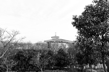 IMGP5020_DxO_