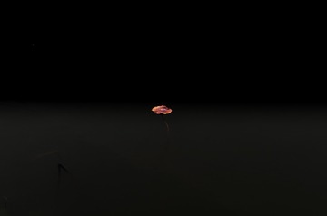 537341
