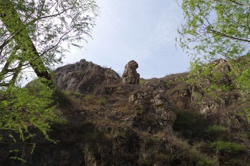 IMGP0225_