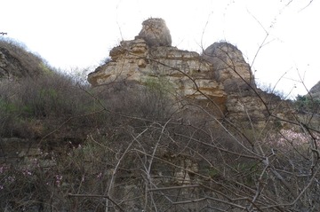 IMGP0313_