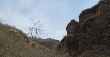 IMGP0316__
