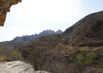 IMGP0318__