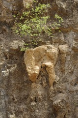IMGP0375__