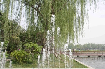 IMGP1115_