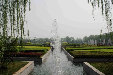 IMGP1118_
