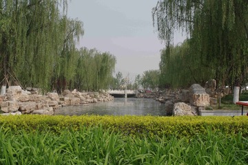 IMGP1092_