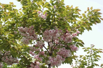 IMGP1112_