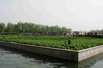 IMGP1113_