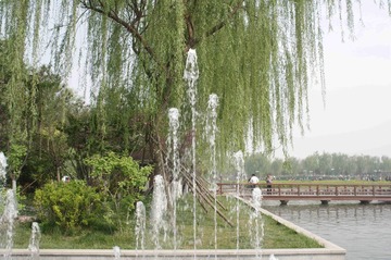IMGP1114_