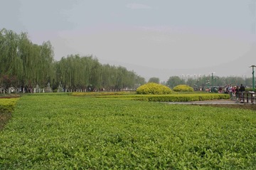 IMGP1132_