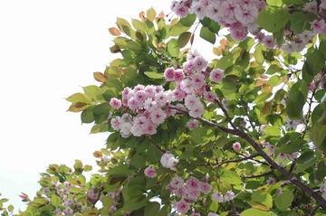 IMGP1166_
