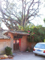 蟠龙在渊5