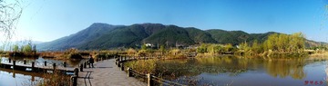 在梦里