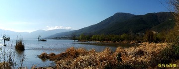 观鸟岛湿地