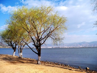 金海岸