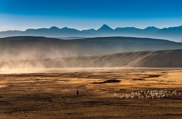 conew_dsc_0036[1]
